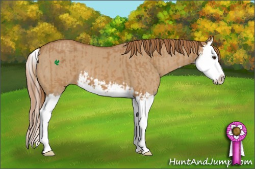 Horse Color:Chestnut Splash and Red Dun Splash