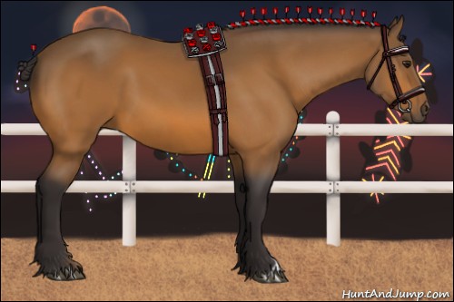 Horse Color:Buckskin 