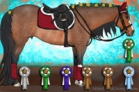 Horse Color:Bay Roan Rabicano 