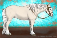 Horse Color:Cremello 