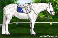 Horse Color:Bay Ice Roan Dun Splash Leopard