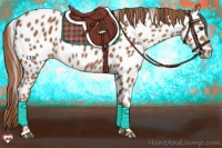 Horse Color:Chestnut Near Leopard 