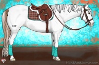 Horse Color:Chestnut Fewspot 