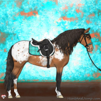 Horse Color:Bay Appaloosa 