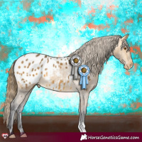 Horse Color:Buckskin Appaloosa 