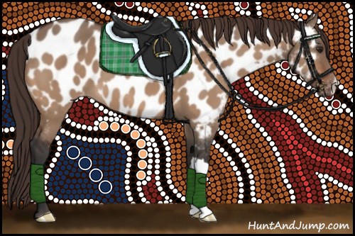 Horse Color:Bay Dun Appaloosa 