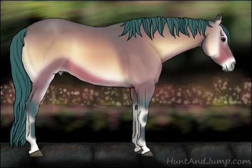 Horse Color:Watercolor Bay Onyx 