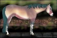 Horse Color:Watercolor Bay Onyx 
