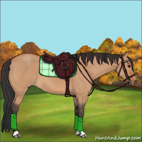 Horse Color:Bay Dun