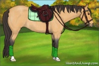 Horse Color:Buckskin Roan 