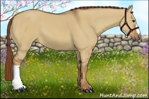 Horse Color:Red Dun 