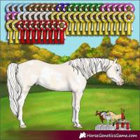 Horse Color:White Spotted Cremello Dun 