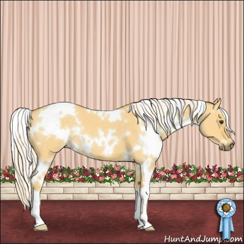 Horse Color:White Spotted Palomino Dun 