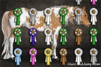 Horse Color:White Spotted Palomino 