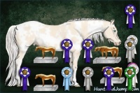 Horse Color:White Spotted Cremello 
