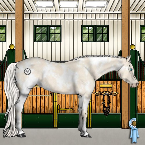 Horse Color:White Spotted Cremello 