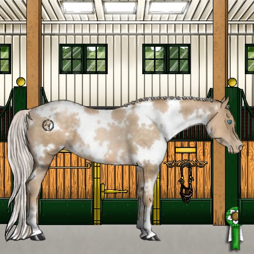 Horse Color:White Spotted Chocolate Palomino Pearl 