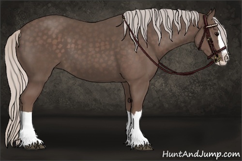 Horse Color:Silver Black Splash