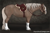 Horse Color:Silver Black Splash