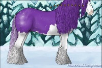 Horse Color:Watercolor Black Splash