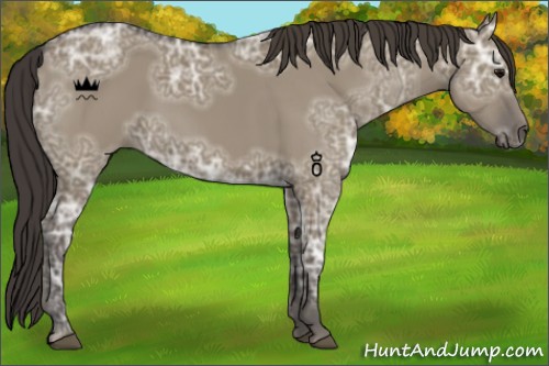 Horse Color:Smoky Grullo Ice 