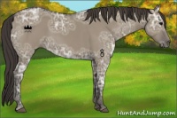 Horse Color:Smoky Grullo Ice 
