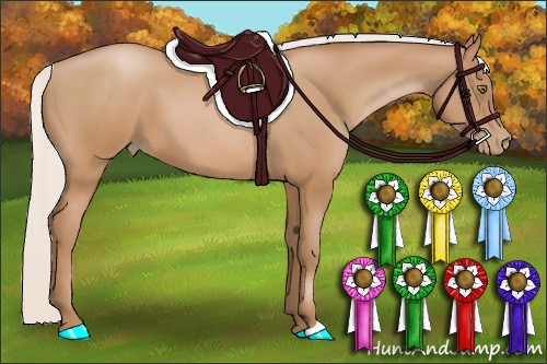 Horse Color:Silver Bay Pearl 