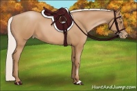 Horse Color:Silver Bay Pearl 