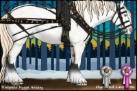 Horse Color:Perlino Dun Sabino Near Leopard 