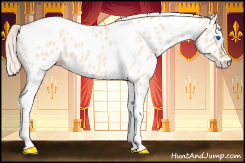 Horse Color:Silver Classic Champagne Roan Dun Splash Tobiano Frame Near Leopard Rabicano