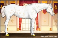 Horse Color:Silver Classic Champagne Roan Dun Splash Tobiano Frame Near Leopard Rabicano
