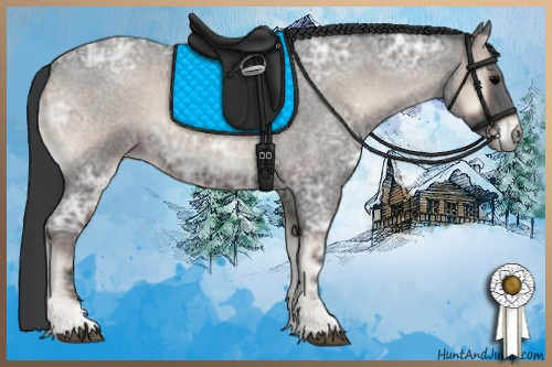 Horse Color:Blue Onyx Ice Roan 
