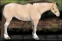 Horse Color:Amber Champagne Ice Tobiano 