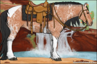 Horse Color:Bay Ice Tobiano 