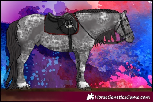 Horse Color:Smoky Black Ice 