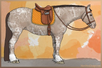 Horse Color:Classic Champagne Ice Tobiano