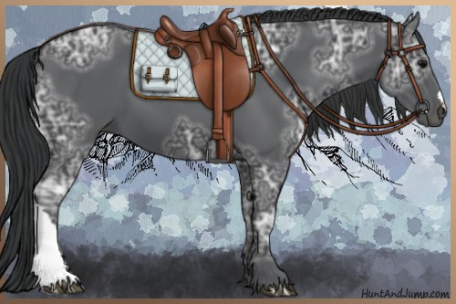 Horse Color:Black Ice 