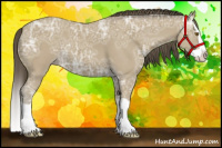 Horse Color:Classic Cream Champagne Ice Splash 