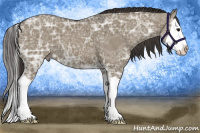 Horse Color:Smoky Grullo Ice Splash 