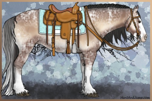 Horse Color:Bay Ice Roan Onyx Splash 