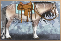 Horse Color:Bay Ice Roan Onyx Splash