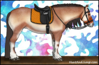 Horse Color:Bay Roan Onyx 