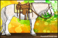Horse Color:Silver Amber Champagne Ice Roan Dun Splash Rabicano