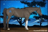 Horse Color:Smoky Black 