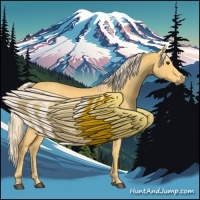 Horse Color:Palomino