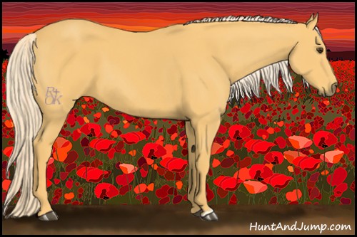 Horse Color:Palomino