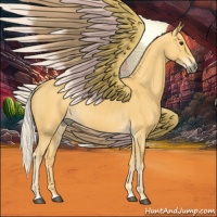 Horse Color:Palomino