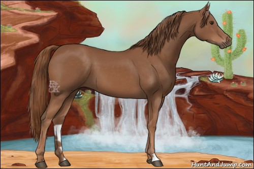 Horse Color:Chestnut 