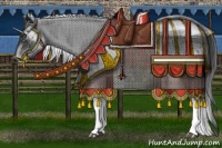 Horse Color:White Spotted Black