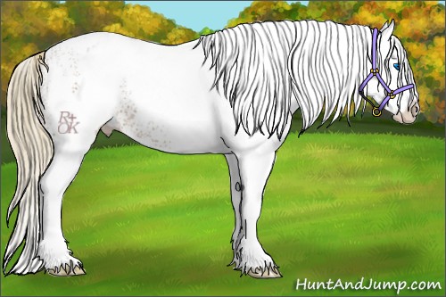 Horse Color:White Spotted Chestnut Splash 
